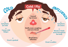 Flu Info Flu Info