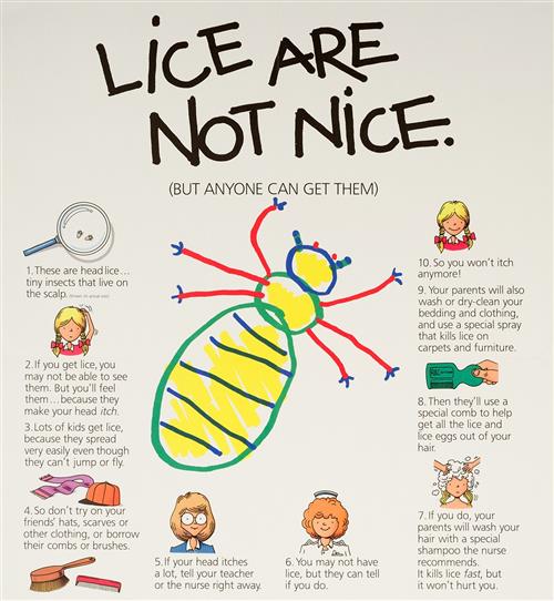 lice 